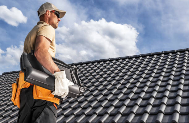 Best Chimney Flashing Repair  in West Lealman, FL